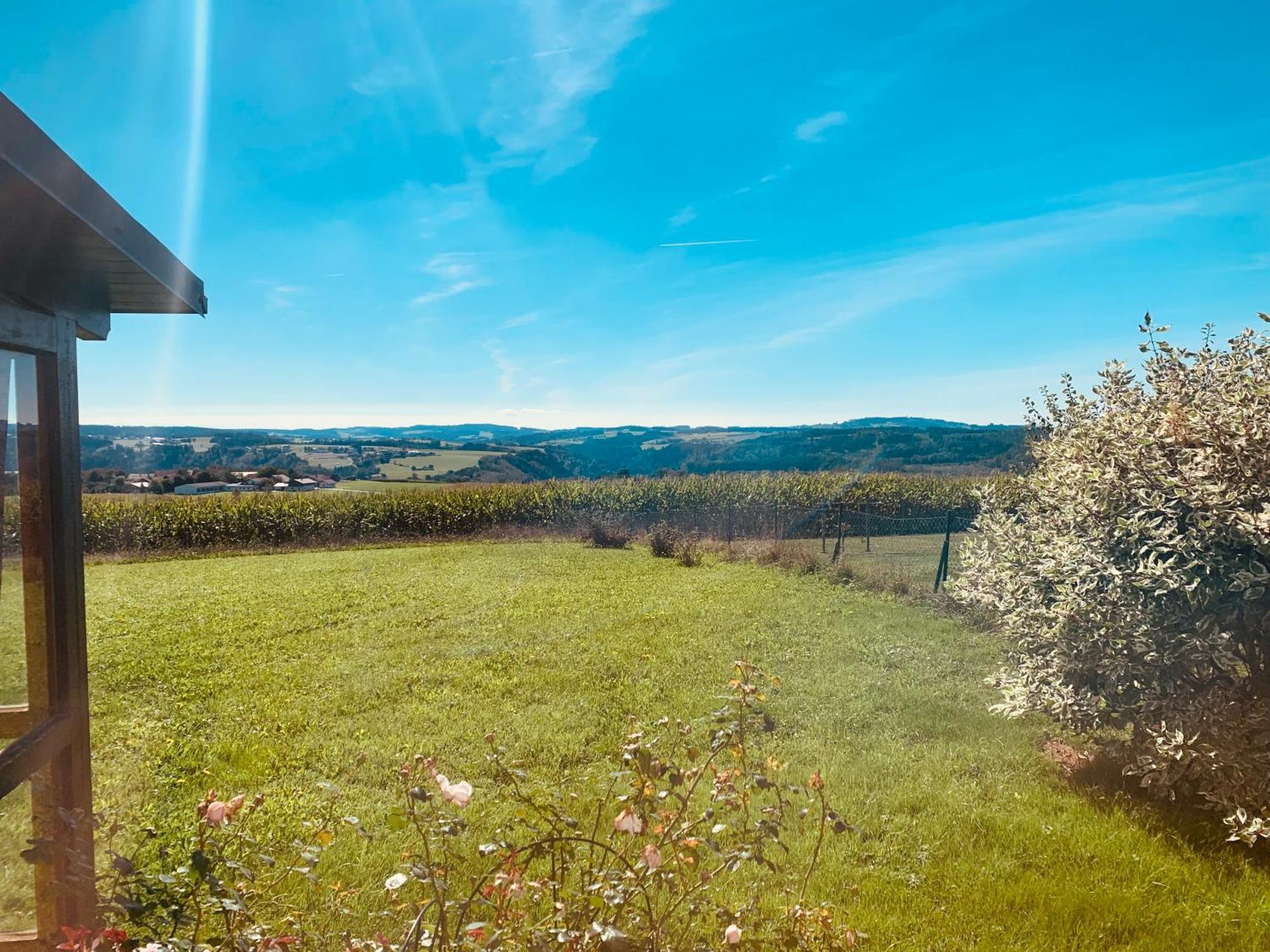 Thyrnau Adlerhorst, 4 Schlafzimmer, Blick In Die Alpen, Parkplatz מראה חיצוני תמונה