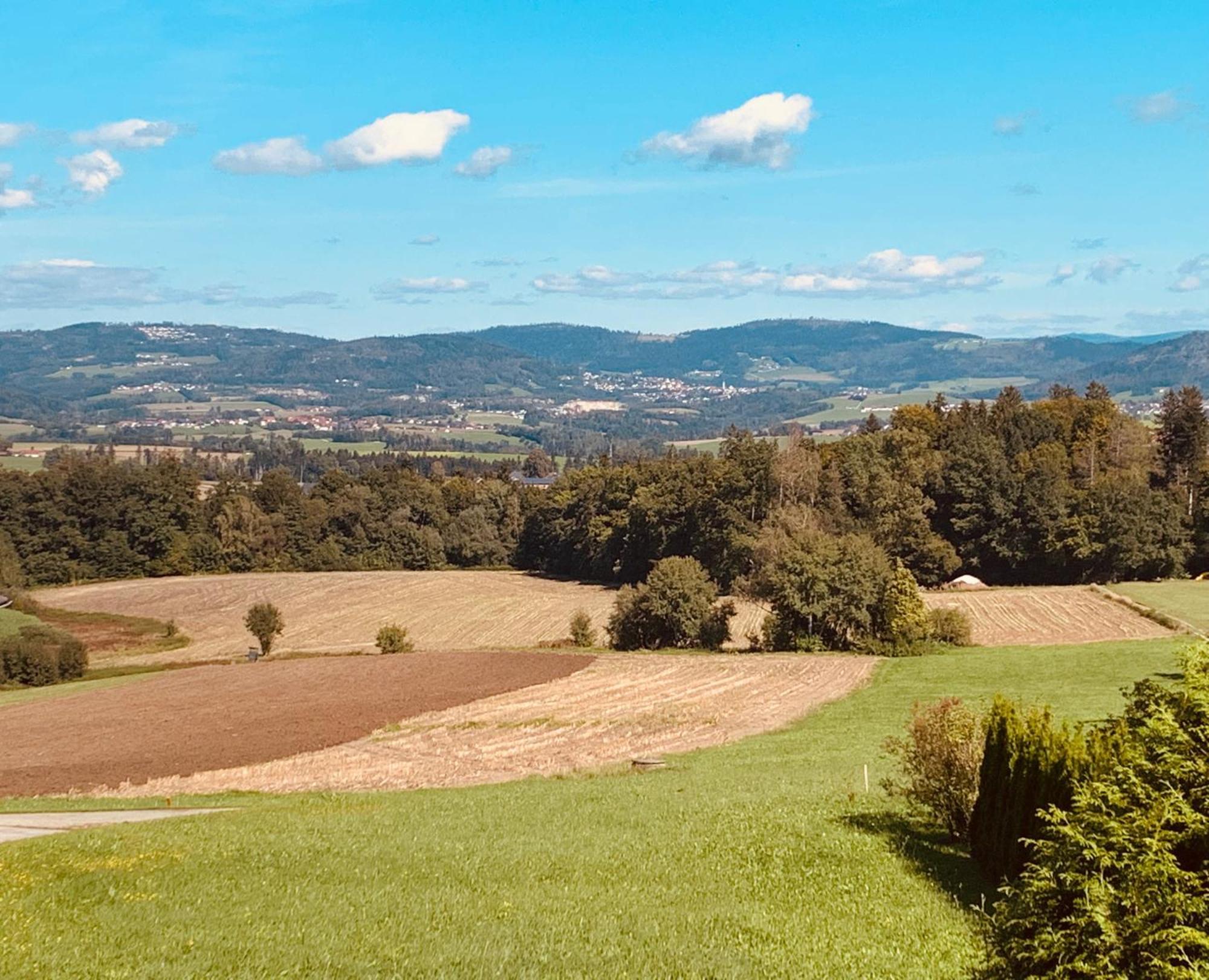 Thyrnau Adlerhorst, 4 Schlafzimmer, Blick In Die Alpen, Parkplatz מראה חיצוני תמונה